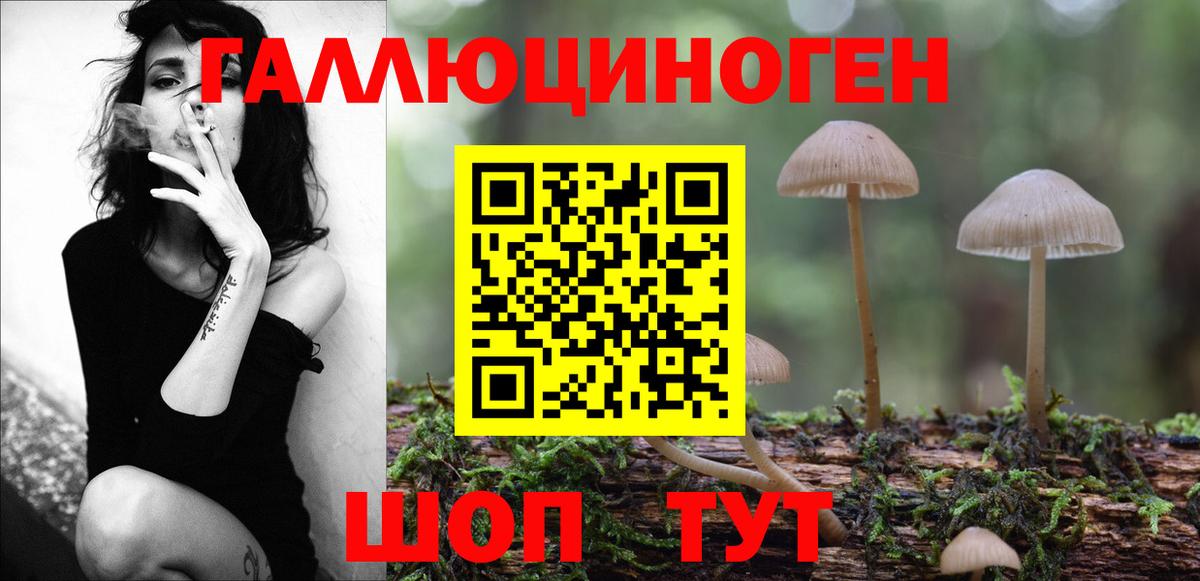 купить наркотик  Галлюциногенные грибы Psilocybine cubensis  Вход с VPN  Губаха 
