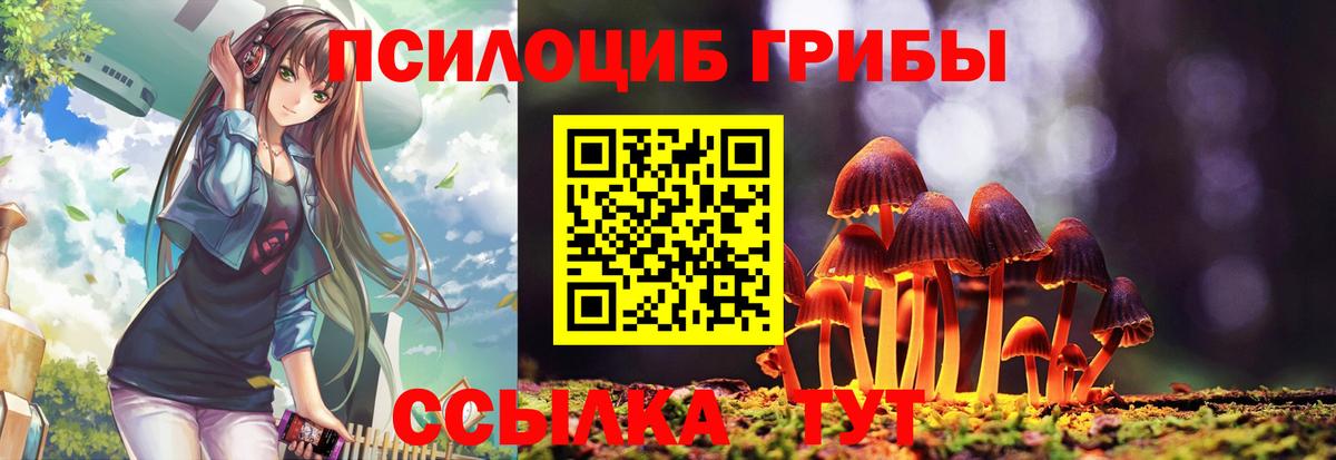 Псилоцибиновые грибы мухоморы Губаха